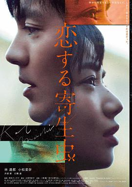 山河故人海报